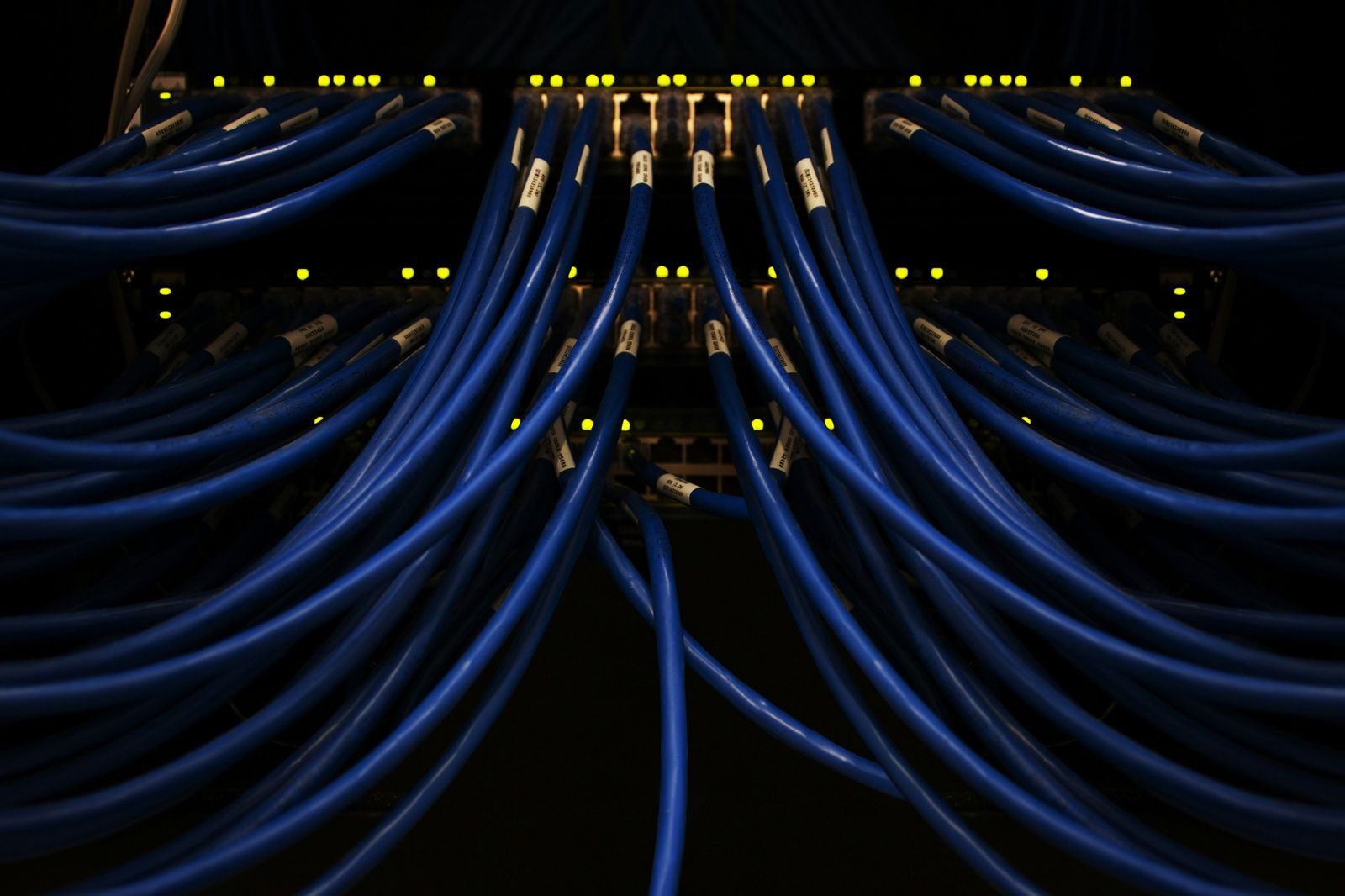 Labeled network patch cables in a rack